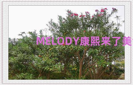 MELODY康熙来了美食