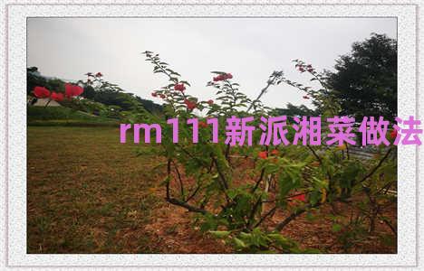 rm111新派湘菜做法