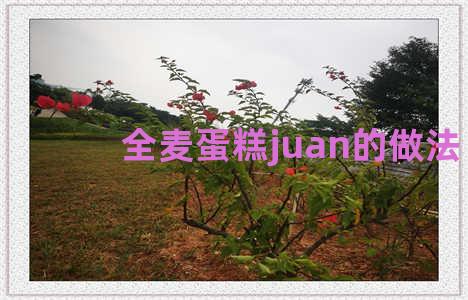 全麦蛋糕juan的做法