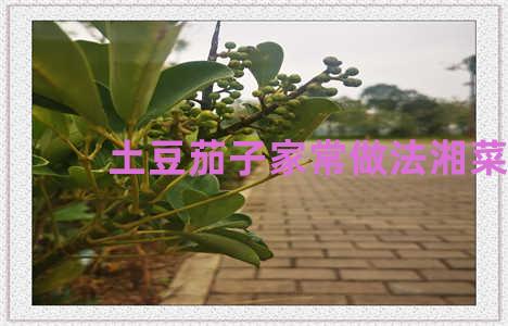 土豆茄子家常做法湘菜