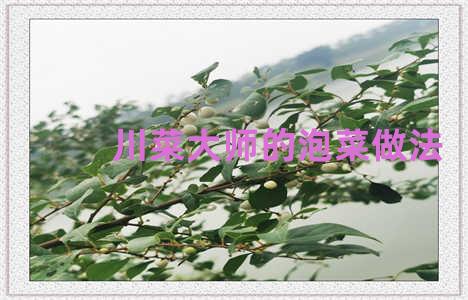 川菜大师的泡菜做法