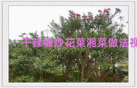 干辣椒炒花菜湘菜做法视频