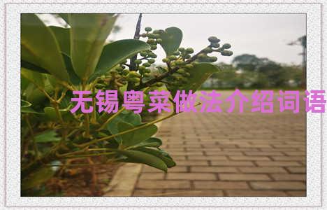 无锡粤菜做法介绍词语