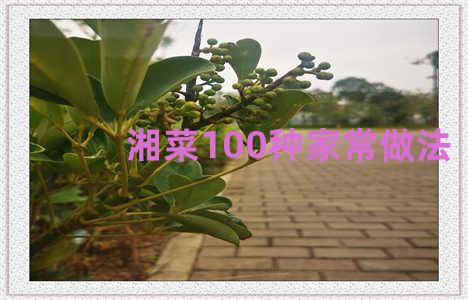 湘菜100种家常做法