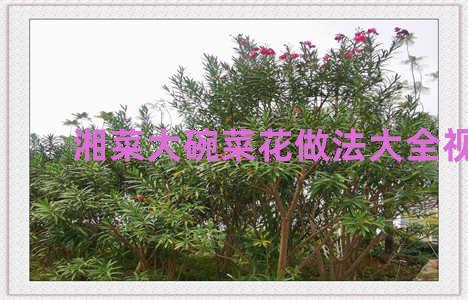 湘菜大碗菜花做法大全视频