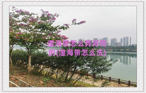 湿海带怎么弄好吃的(湿海带怎么洗)