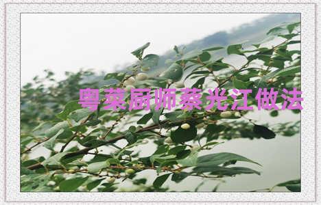 粤菜厨师蔡光江做法