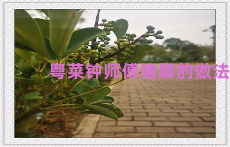 粤菜钟师傅猪脚的做法