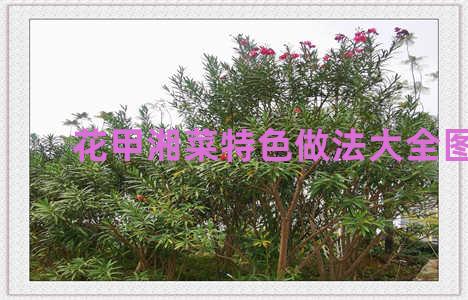 花甲湘菜特色做法大全图片