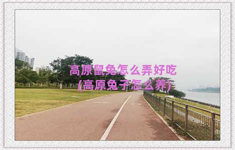 高原鼠兔怎么弄好吃(高原兔子怎么养)