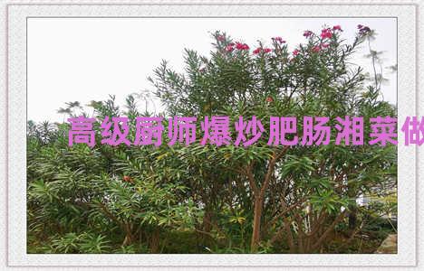 高级厨师爆炒肥肠湘菜做法